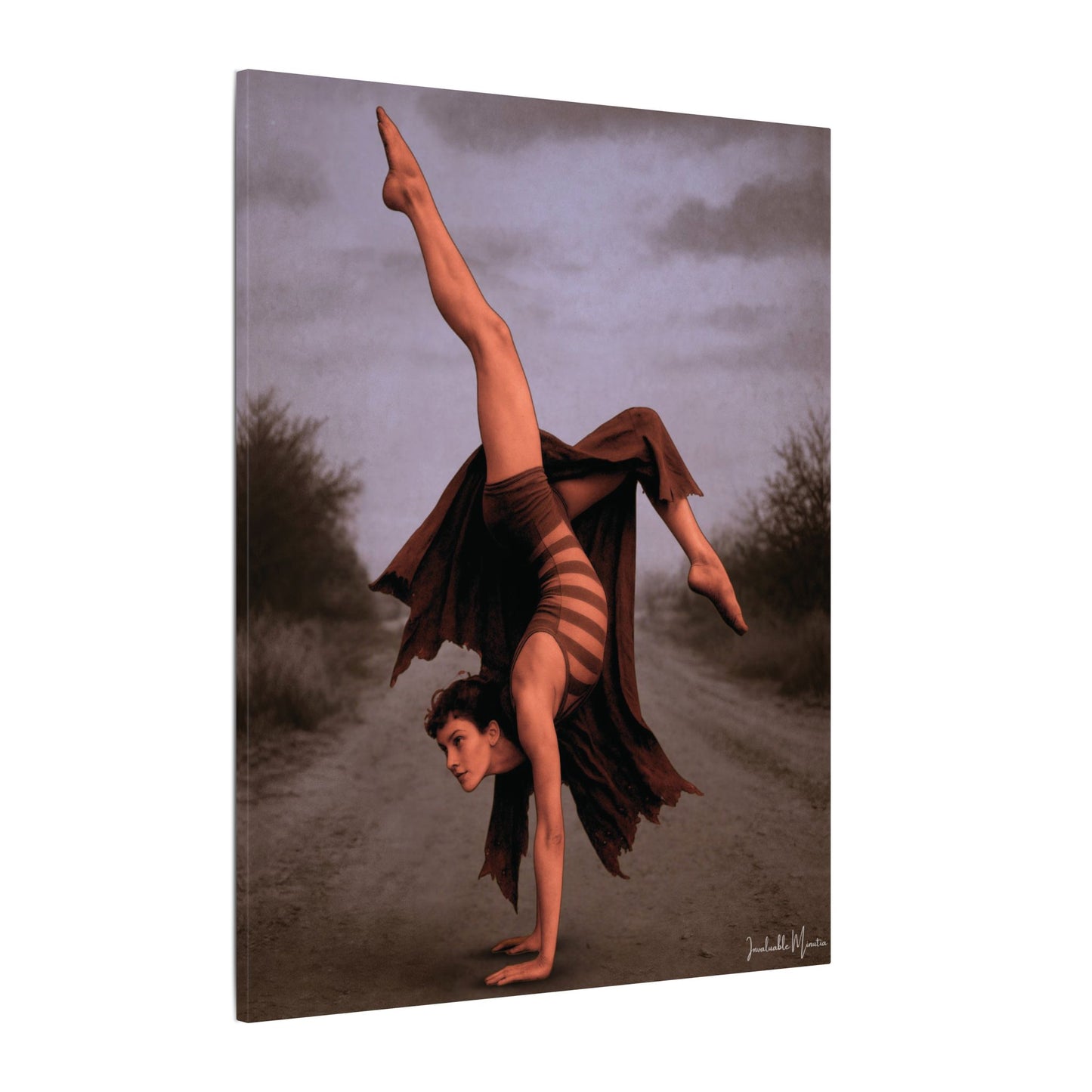 The Acrobat – Matte Canvas Print (Gallery-Wrapped) 0.75" – Vintage Circus-Inspired Canvas Wall Art