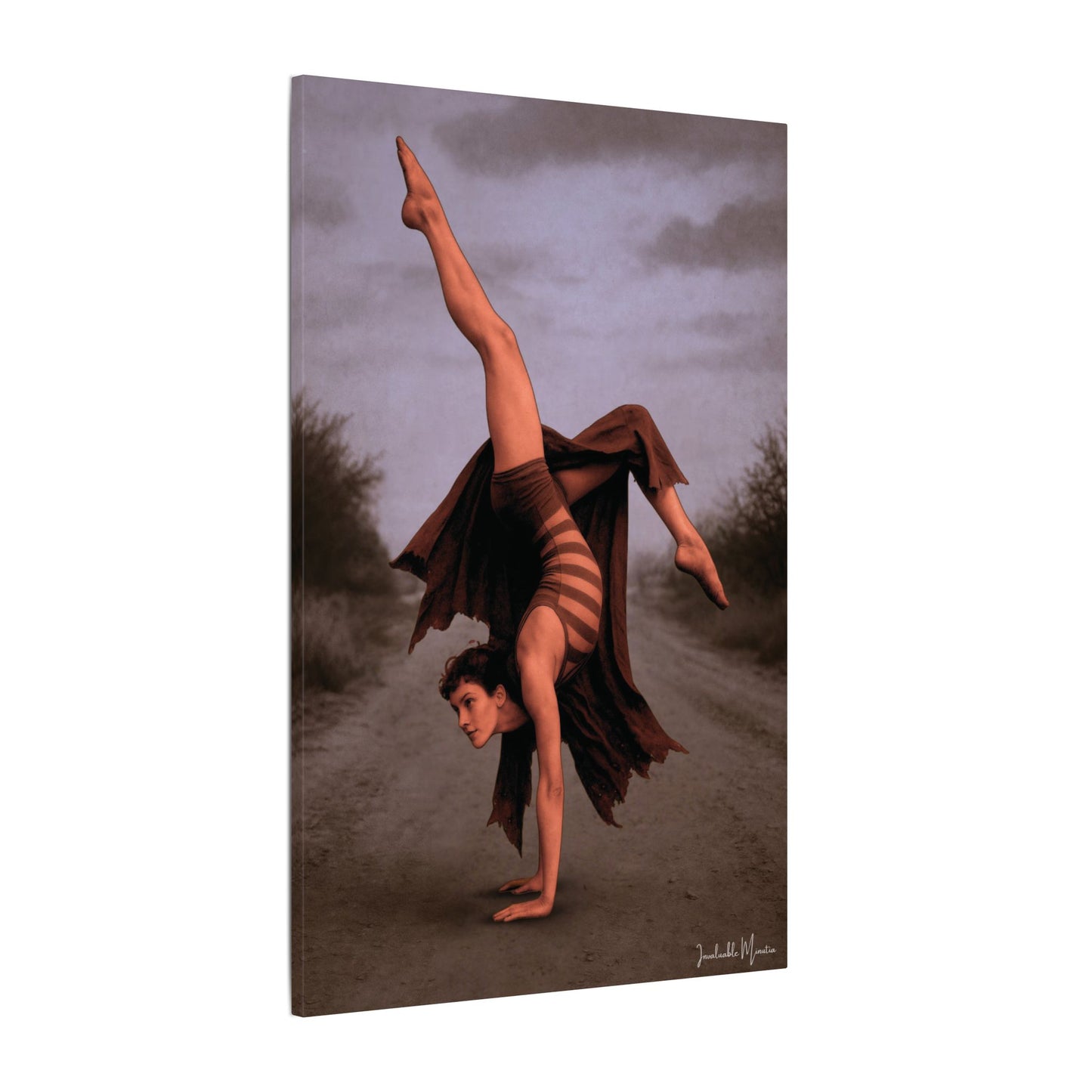 The Acrobat – Matte Canvas Print (Gallery-Wrapped) 0.75" – Vintage Circus-Inspired Canvas Wall Art