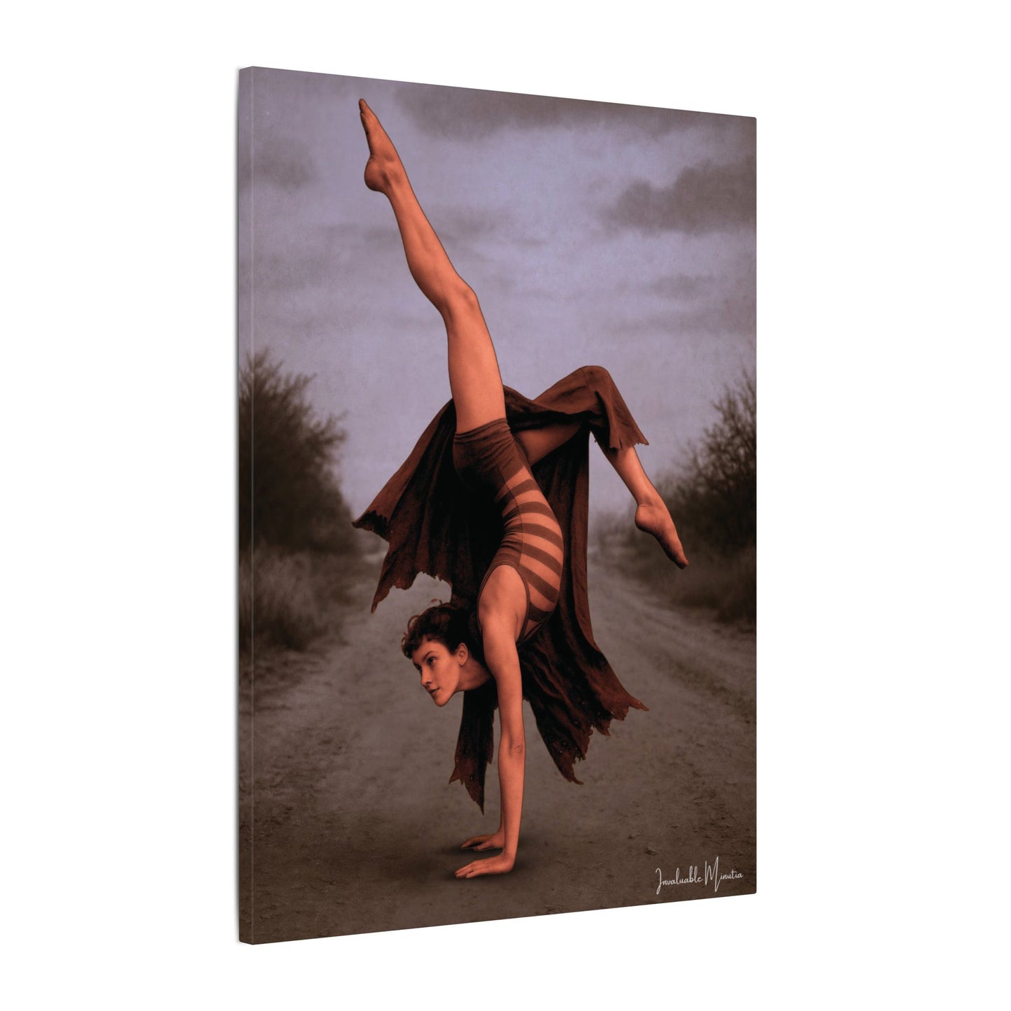The Acrobat – Matte Canvas Print (Gallery-Wrapped) 0.75" – Vintage Circus-Inspired Canvas Wall Art