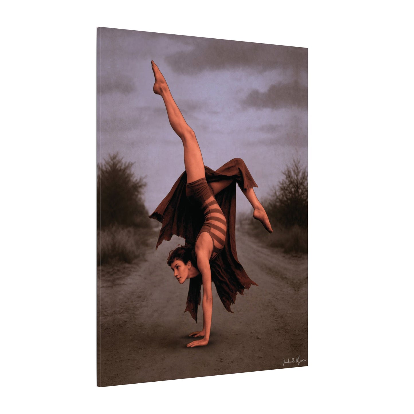 The Acrobat – Matte Canvas Print (Gallery-Wrapped) 0.75" – Vintage Circus-Inspired Canvas Wall Art