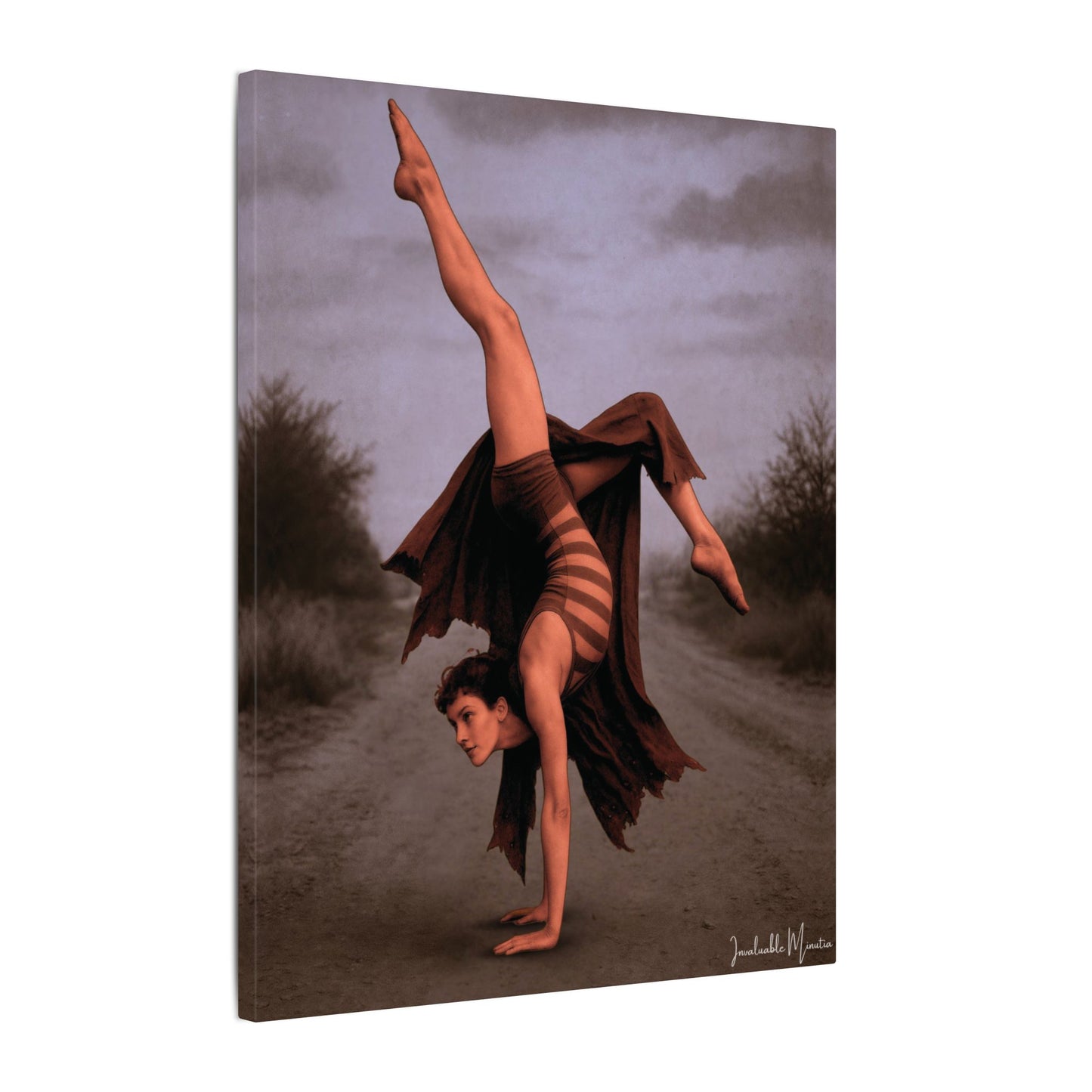 The Acrobat – Matte Canvas Print (Gallery-Wrapped) 0.75" – Vintage Circus-Inspired Canvas Wall Art