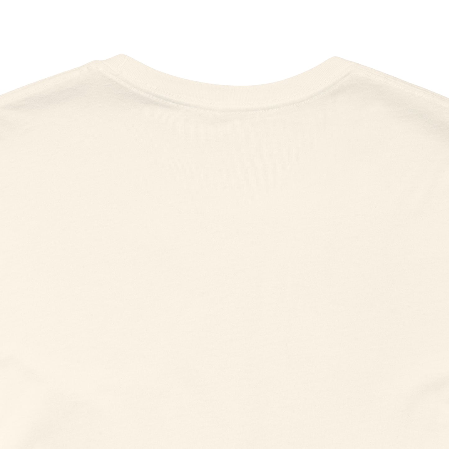 “Everything's Fine...Ish” Stick Figure Tee | Dark Humor Graphic Shirt | Bella+Canvas Unisex