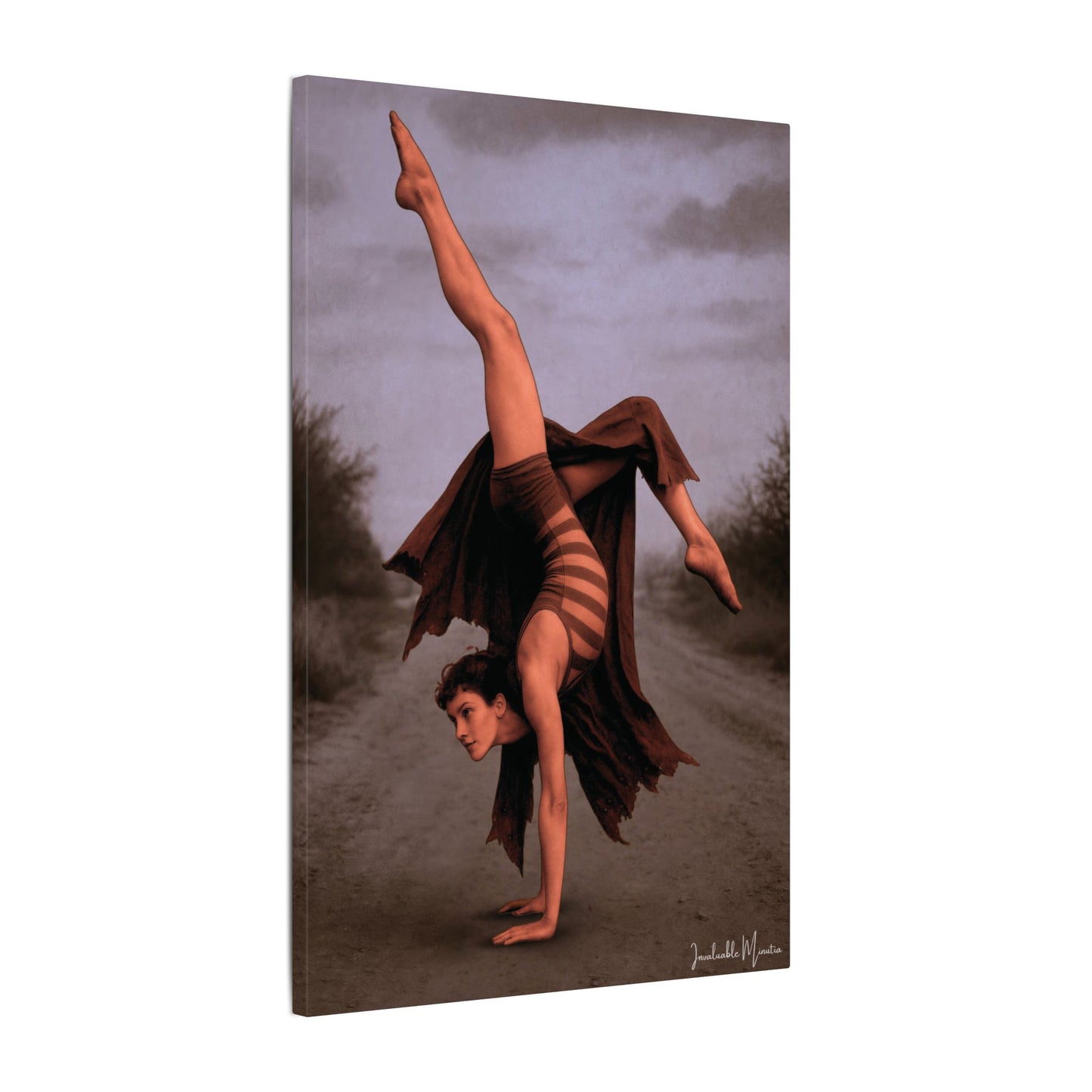 The Acrobat – Matte Canvas Print (Gallery-Wrapped) 0.75" – Vintage Circus-Inspired Canvas Wall Art