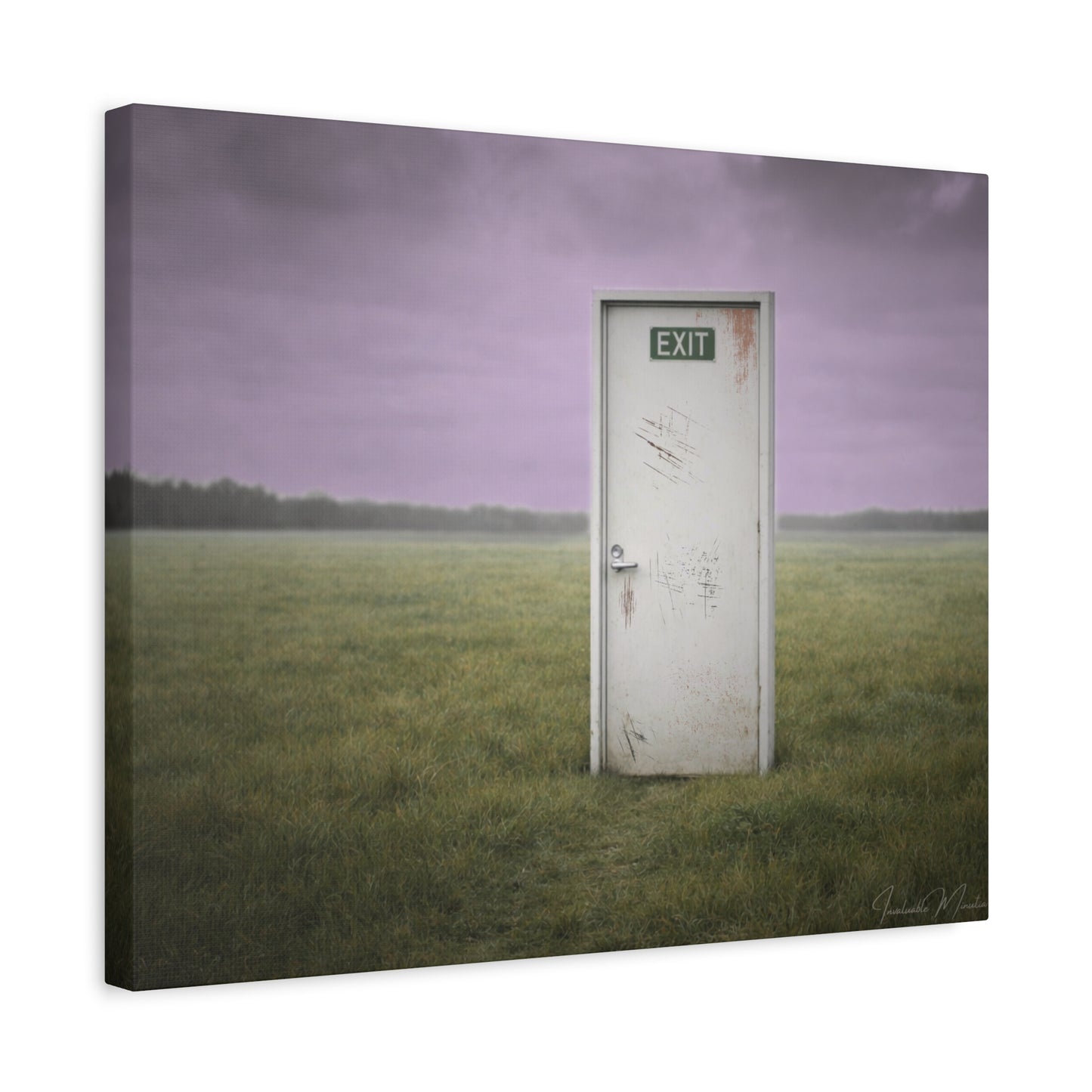 La Salida - Canvas Print