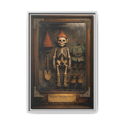 Gnome Specimen No. 6 Framed Canvas Print – Dark Curiosity Cabinet Wall Art, Gothic Skeleton Gnome Decor