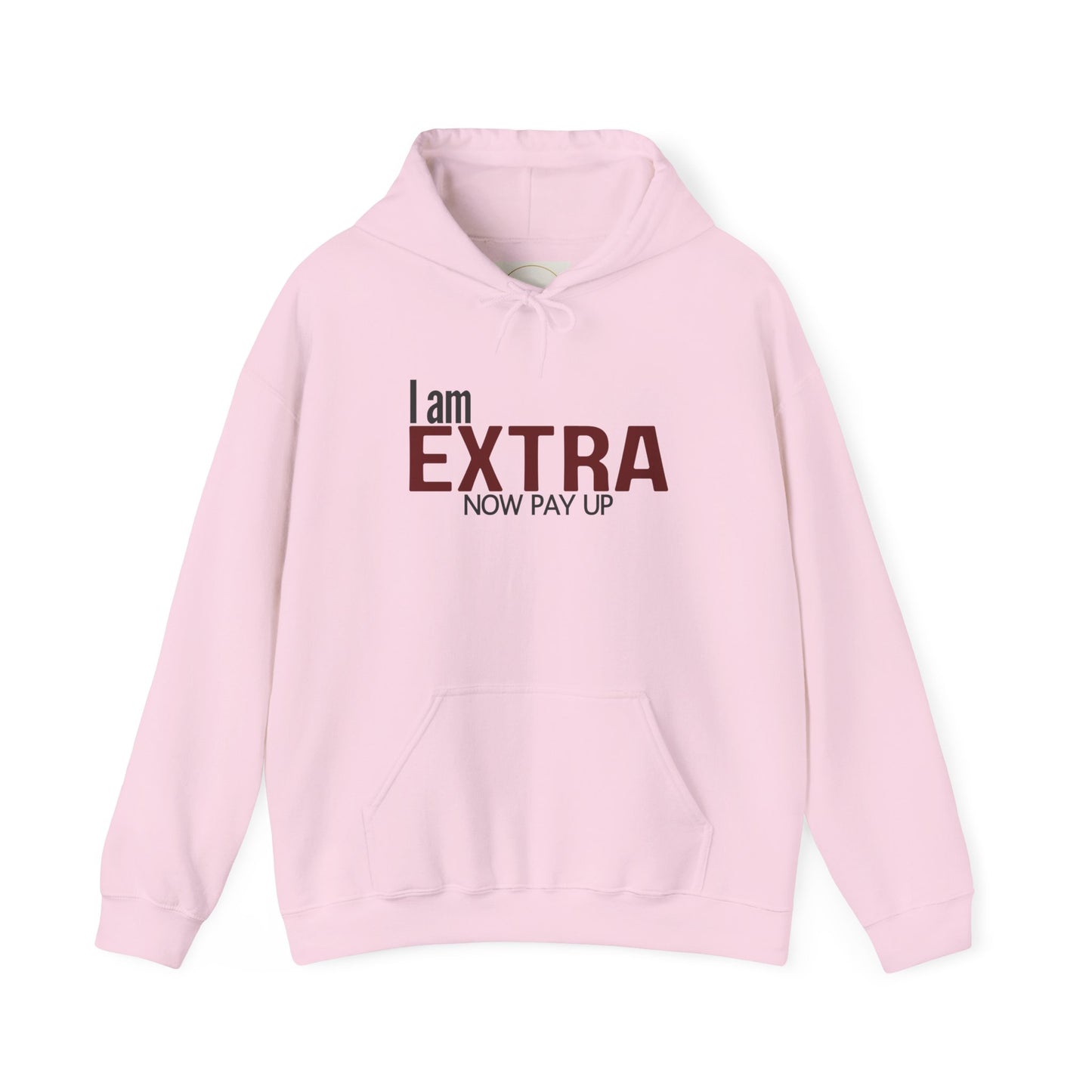 I Am Extra Now Pay Up. Gildan Unisex Hoodie