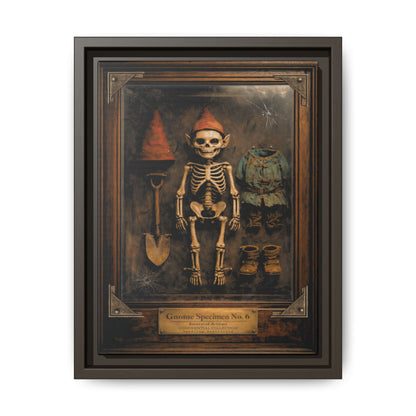 Gnome Specimen No. 6 Framed Canvas Print – Dark Curiosity Cabinet Wall Art, Gothic Skeleton Gnome Decor