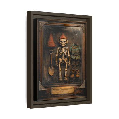 Gnome Specimen No. 6 Framed Canvas Print – Dark Curiosity Cabinet Wall Art, Gothic Skeleton Gnome Decor