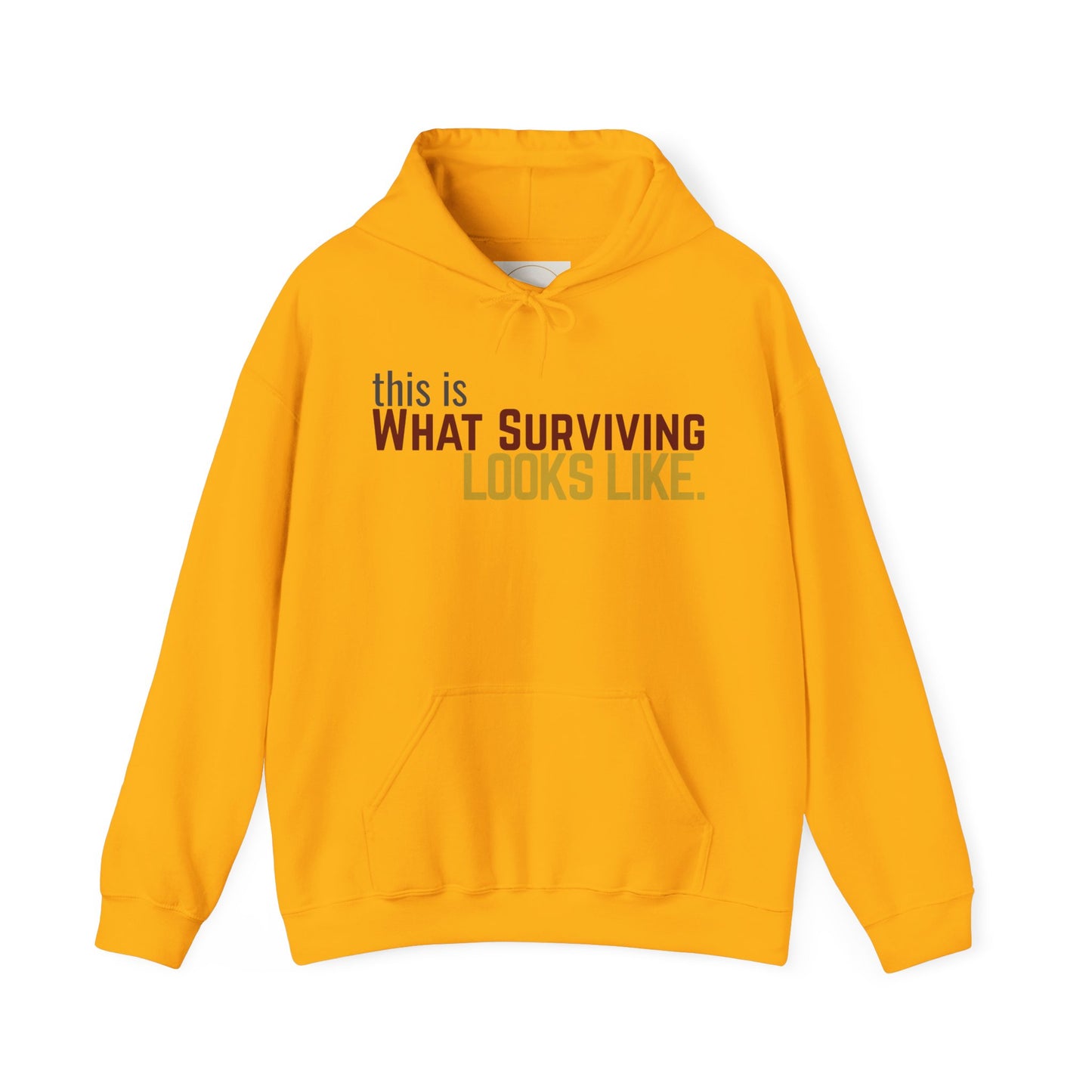 This Is What Surviving Looks Like Gildan Unisex Hoodie