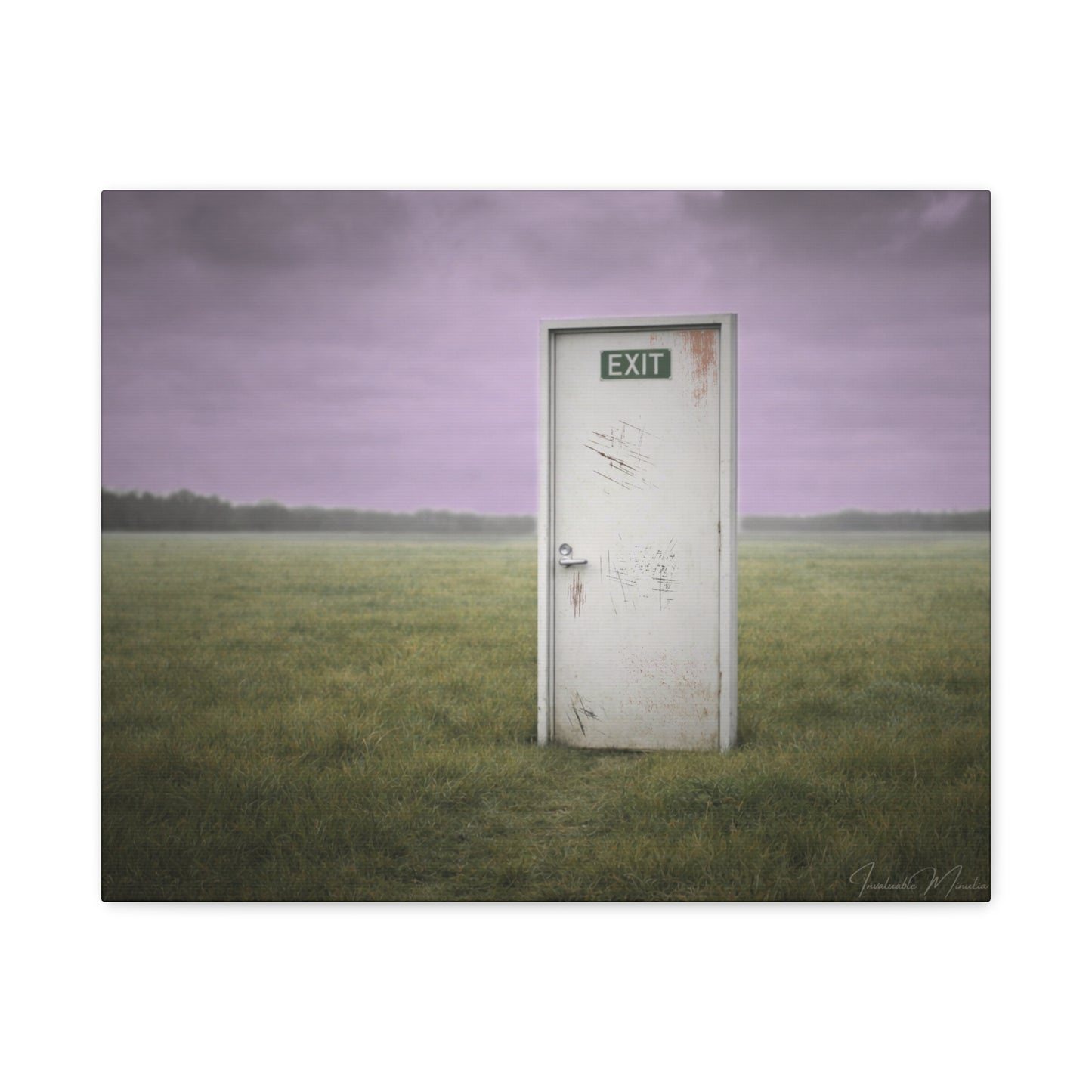 La Salida - Canvas Print