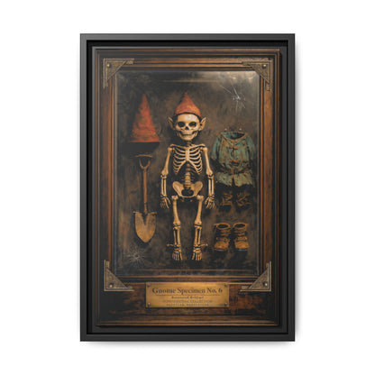 Gnome Specimen No. 6 Framed Canvas Print – Dark Curiosity Cabinet Wall Art, Gothic Skeleton Gnome Decor