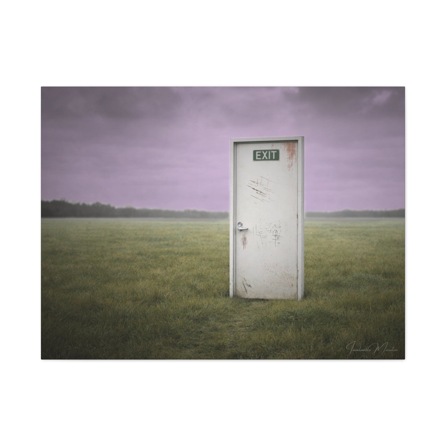La Salida - Canvas Print