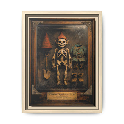 Gnome Specimen No. 6 Framed Canvas Print – Dark Curiosity Cabinet Wall Art, Gothic Skeleton Gnome Decor