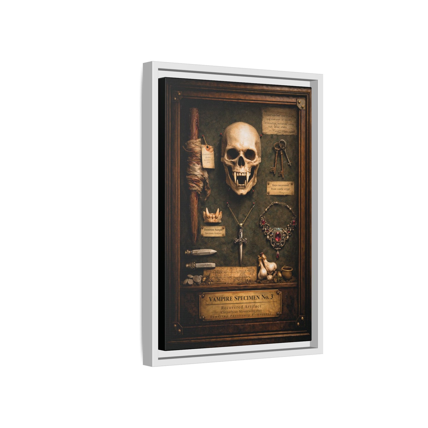 Framed Canvas Art – Vampire Specimen No. 3 | Gothic Vampire Wall Decor | Dark Academia Curiosity Cabinet Art