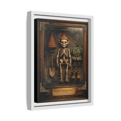 Gnome Specimen No. 6 Framed Canvas Print – Dark Curiosity Cabinet Wall Art, Gothic Skeleton Gnome Decor