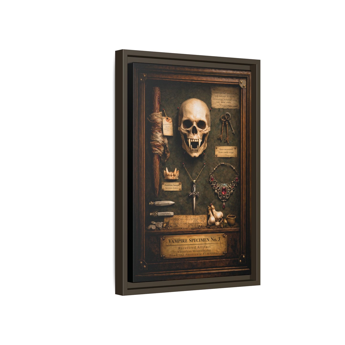 Framed Canvas Art – Vampire Specimen No. 3 | Gothic Vampire Wall Decor | Dark Academia Curiosity Cabinet Art
