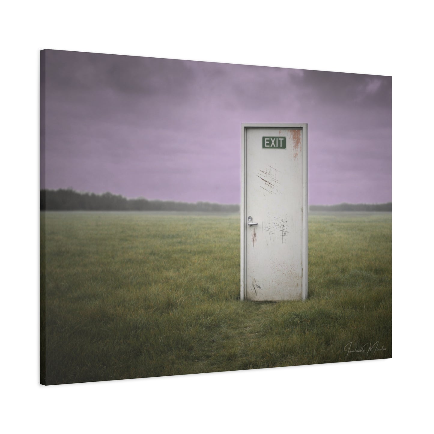 La Salida - Canvas Print