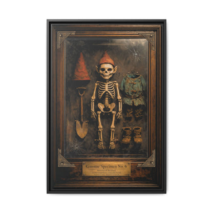 Gnome Specimen No. 6 Framed Canvas Print – Dark Curiosity Cabinet Wall Art, Gothic Skeleton Gnome Decor